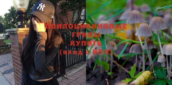 не бодяженный Володарск
