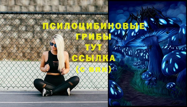 не бодяженный Володарск
