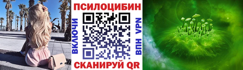Псилоцибиновые грибы мухоморы  Высоцк 